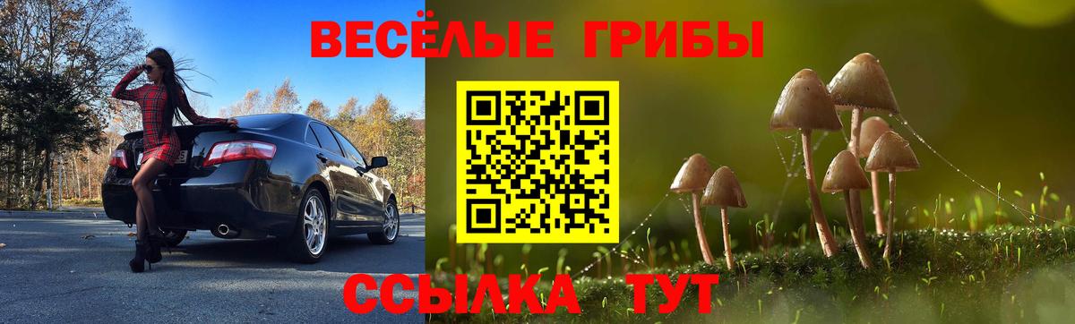Псилоцибиновые грибы прущие грибы Артём